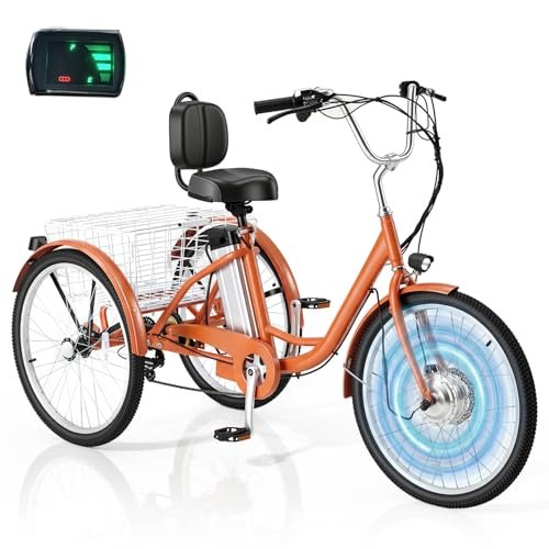 DNYKER Electric Scooter