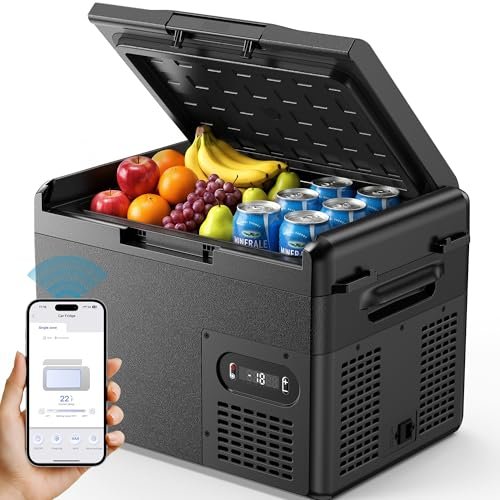 How DNYKER's Dual-Zone Portable Refrigerator Delivers Independent Temperature Control in Two Compartments